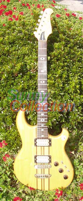 サニー アリアプロ ギター ARIAPRO RS-750D Sunny Guitar