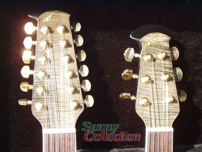 Ovation Celebrity Deluxe on Ovation Kaman Music Corp        Celebrity Deluxe Double